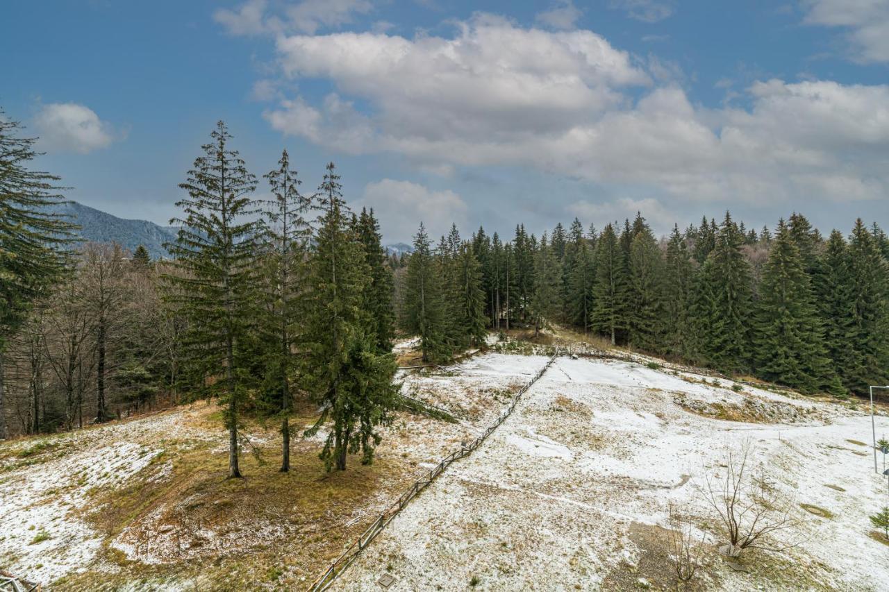 Ambient Apartment In Silver Montain - Poiana Brasov Eksteriør bilde